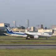 Rinの画像
