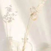 Ku(プロフ必読)