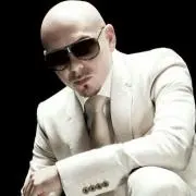 PIT BULL