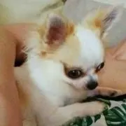 ♡HARU HARU♡