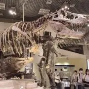 gaoo!!!プロフ確認してください。の画像