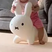 あんにん