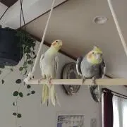 こうの画像