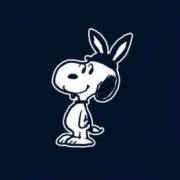 うさぎの画像