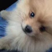 Tomoki Kandaの画像