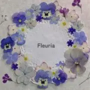 フルーリア　Fleuria ꕤ*.゜の画像