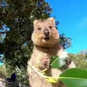 まこの画像