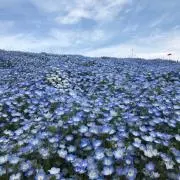 いもと☆の画像