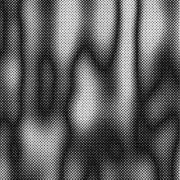 soyの画像