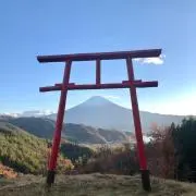 ウオッカ (フォロー割しています)の画像