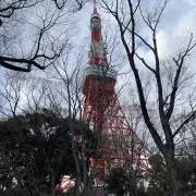 にゃんこ先生