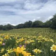 美日月の画像