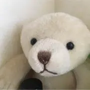 jum  断捨離中♡♡の画像