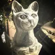 nosukeの画像