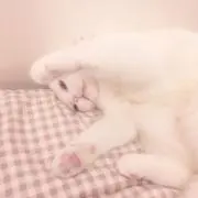 ふうの画像