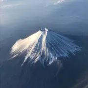 ゆうPPの画像