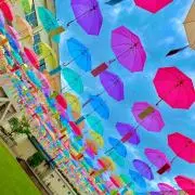 ベイの画像