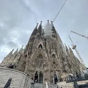 まもの画像