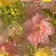 Nerissa love(お値下げ❌)の画像