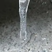 サレの画像