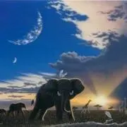 BIG ELEPHANT