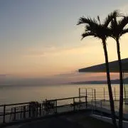 couの画像