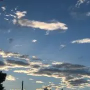マサコの画像