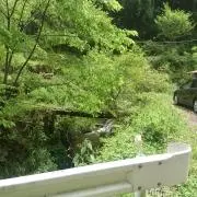 YuTaの画像