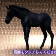 いとっち