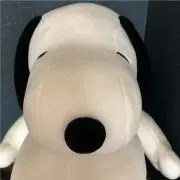 エコの画像