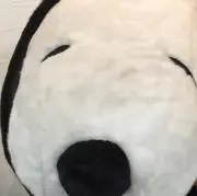 Mujouの画像