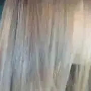 ハリネズミの画像