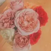 みこ【プロフィール必読】の画像