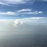 ツムツムの画像
