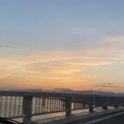 ちょこの画像