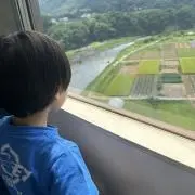 ぽんぽこの画像