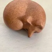 shumariの画像