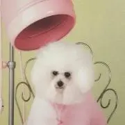 mithai
