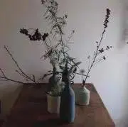 ocの画像