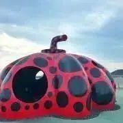 ぴよ(プロフィール必読お願い致します)の画像