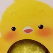 pipi