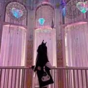 ゾイの画像