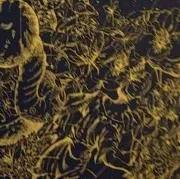 lmmの画像