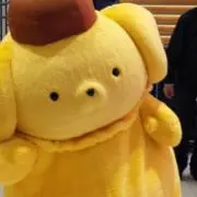 きほ