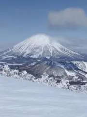 たか まとめ買い歓迎!!の画像