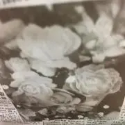 Uniの画像