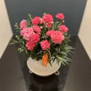 えるこ　紹介文必読下さい