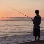 りんの画像