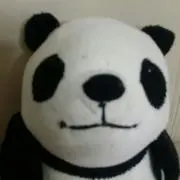 パンダくん