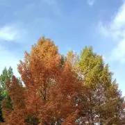 まりーみの画像